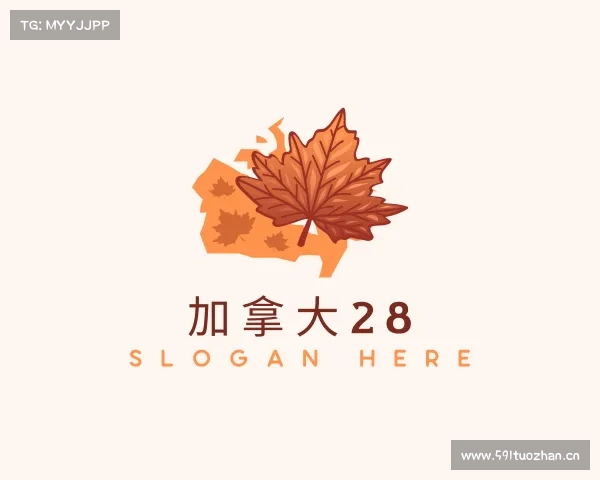 解读加拿大28